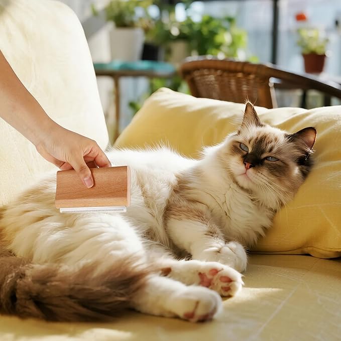 Dog Deshedding Brush, Wooden Pet Kitten Hair Shedding Grooming Brush Tool with Fine Comb Teeth Puppy Kitty Deshedding for Small Medium Large Dog Cat with Long Short Straight and Wavy Fur(Wood Color)