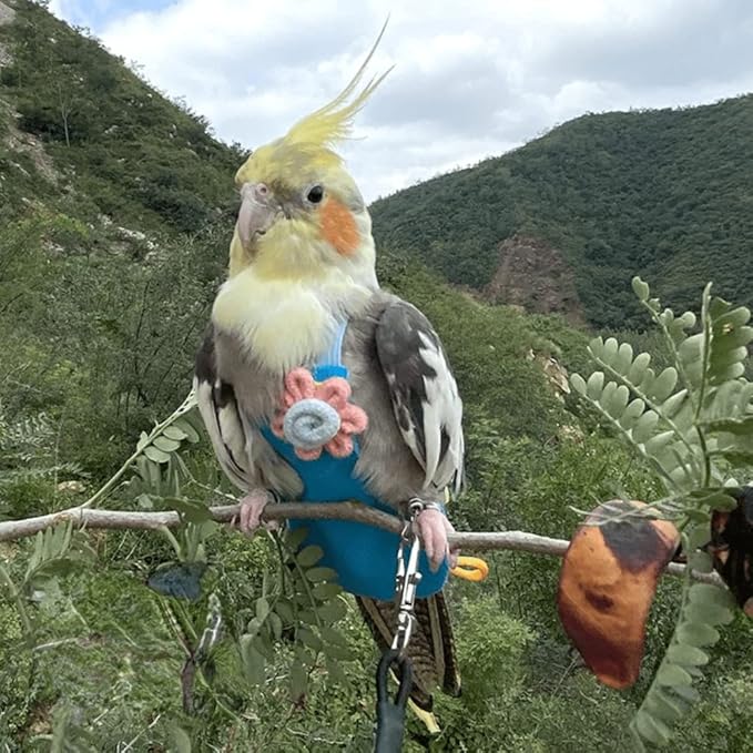 Bird Diaper Harness Flight Suit Clothes with Flying Leash for Parrots Cockatiel Pet Birds, Parrot Clothes, Bird Training Nappy Suit Liners Clothes (Large,Blue)
