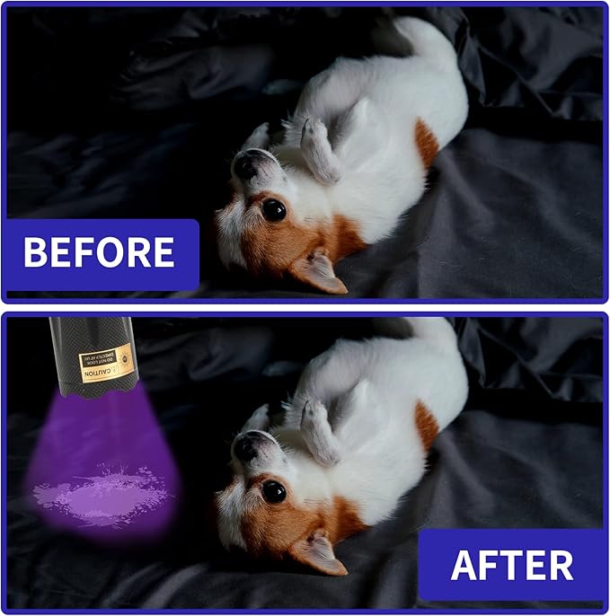 UV Flashlight Black Light- 365nm 395nm Ultraviolet Flashlights, Handheld Blacklight Torch Woods Lamp for Pet Urine Stains Detection, Rocks & Minerals, Glue Curing, Scorpions Finder and Uranium Glass