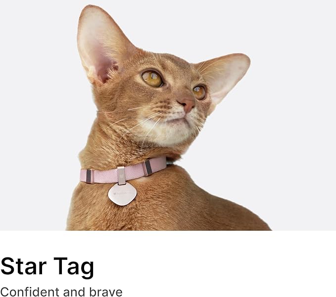 Engraved Pet ID Tag - Personalized Name Tag Engraved Cat Collar Charms, Custom Aluminum Alloy Customized Cat Name Tag for Kitten Small Large Cats (Star-Blush Pink)