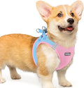 rabbitgoo Small Dog Harness, Step-in Soft Mesh Puppy Vest with Safety Buckle, Breathable Reflective Pet Harness for Small Medium Dogs, Blue & Light Pink L
