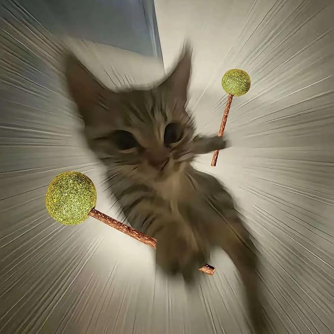 UBIETY Catnip & Silvervine Lollipops,Catnip Balls Silvervine Sticks for Cats,Cat Nip Ball Toy for Indoor Cats,Interactive Cat Toy(6Pcs)