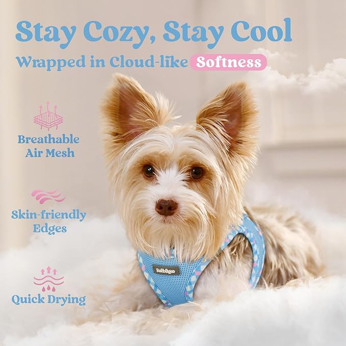 rabbitgoo Small Dog Harness, Step-in Soft Mesh Puppy Vest with Safety Buckle, Breathable Reflective Pet Harness for Small Medium Dogs, Blue & Plaid Trim L