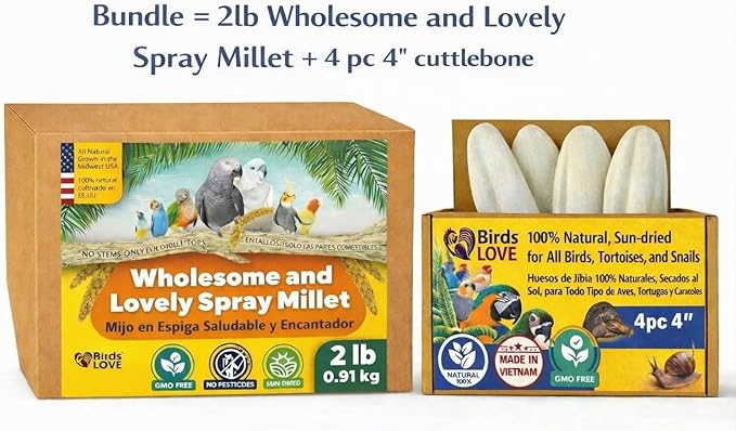 Farm to Feathers™ Wholesome Spray Bird Millet & Cuttlebone Bundle – USA Grown Millet Sprays for Parakeets, Budgies, Cockatiels, Finches & Canaries – 2 lb Wholesome Millet + 4” Cuttlebone (4 Pack)