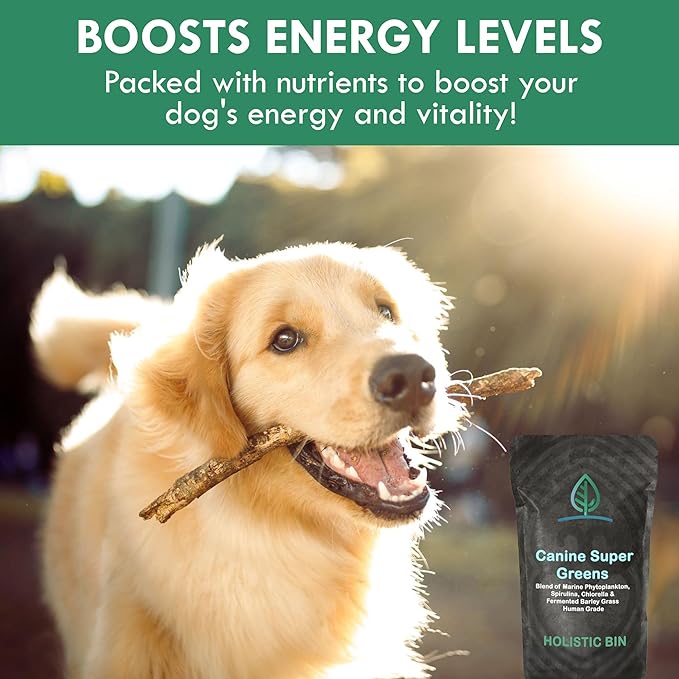 Holistic Bin Canine Super Greens Plant-Based Dog Food Toppers | Nutrient-Rich Supplement Powder | Gut Balance, Joint Strength, Digestion, Fresh Breath & Overall Canine Wellness | Greens Powder (50g)