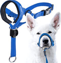 GoodBoy Dog Head Halter with Safety Strap - Stops Heavy Pulling On The Leash - Padded Headcollar for Small Medium and Large Dog Sizes - Head Collar Training Guide Included (Size 3, Blue Nylon)