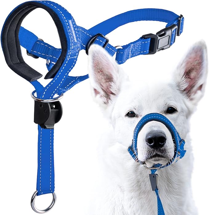 GoodBoy Dog Head Halter with Safety Strap - Stops Heavy Pulling On The Leash - Padded Headcollar for Small Medium and Large Dog Sizes - Head Collar Training Guide Included (Size 3, Blue Nylon)