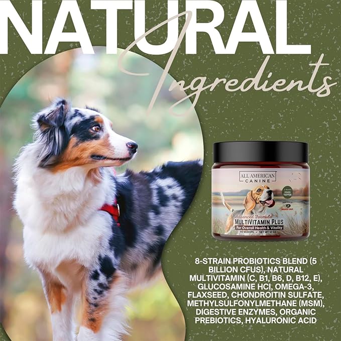 All American Canine Multivitamin Powder - Glucosamine & Chondroitin for Joint Health, Digestive Enzymes & Probiotics for Immunity, Skin & Coat, Beef Flavor 90 Servings