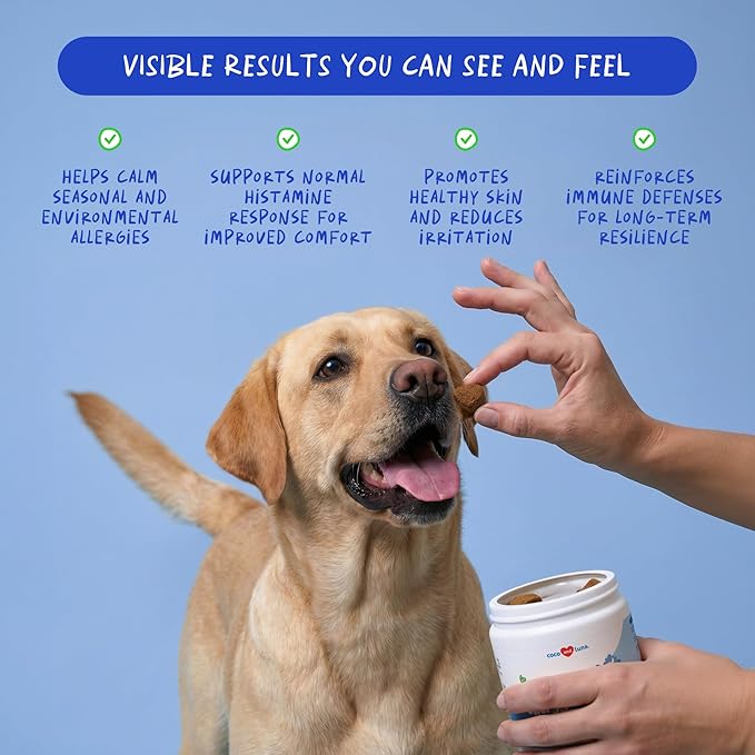 Dog Allergy Relief Chews – Itchy Skin & Ear Itching Support for Dogs – Quercetin, Colostrum, Omega 3 & Probiotics – Seasonal Allergy & Immune Support – 90 Soft Chews