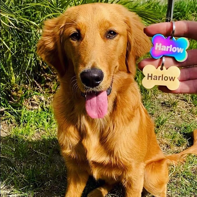 Engraved Dog Tags Personalized - Stainless Steel Engraved Dog Cat ID Tags Front & Back up to 8 Lines of Text Color Plating Gold, Rose Gold, Blue, Black, Nebula Badge Small