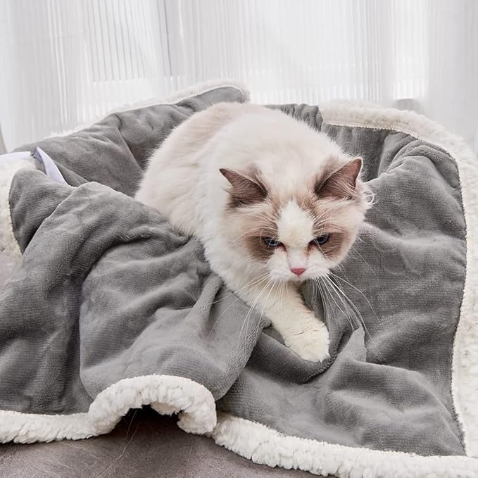 Qeils 1 Pack 6 Dog Blankets for Small Dogs - 6 pcs Waterproof Dog Blanket Washable - Soft Sherpa Fleece Puppy Blanket for Kitten Doggy, Warm Cat Blankets for Indoor Cats, 16"X23", Grey