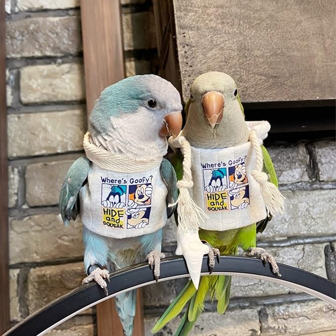 Sun Conure Bird Diaper Flight Suit Frog Shape Hoodie Cosplay Photo Prop for Parrots, Parakeet, Cockatiel - Bird Hoodie Small Animals Apparel (White Without Hat, Small)