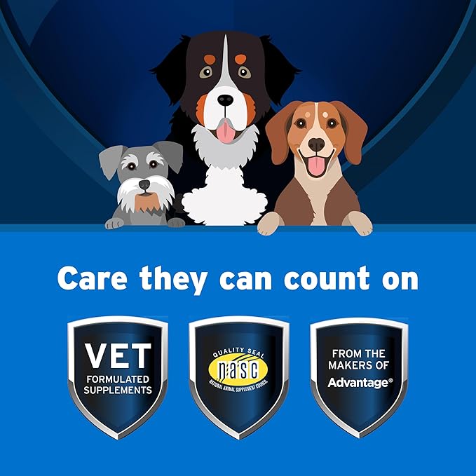 Pet Protect Dog Multivitamin, Vet-Formulated DVM Daily Soft Chews, Supports Ongoing Health & Wellness, Chicken-Flavor (120 Count)