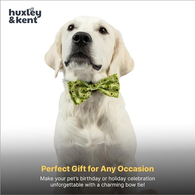 Huxley & Kent Pet Bow Tie for Dogs & Cats - Adjustable Hook & Loop Collar Accessory - Cute & Comfortable for Holidays & Celebrations - Happy Avocados, Small