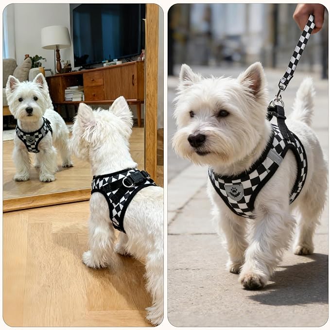 PUPTECK Adjustable Dog Harness Collar and Leash Set Step in No Pull Pet Harness for Small Medium Dogs Puppy and Cats Outdoor Walking Running, Checkered Black&White L