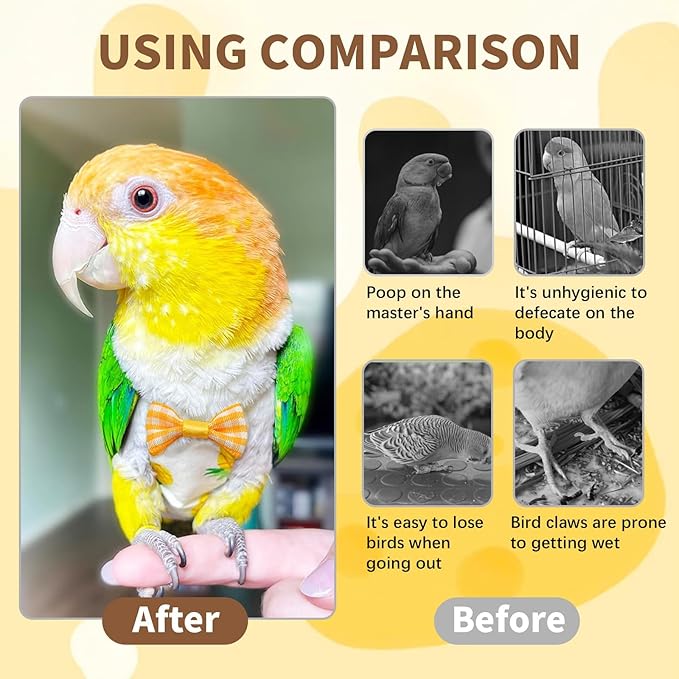 6 PCS Bird Diaper, Parrot Diaper Flight Suit, Cute Pigeon Pants, Waterproof Inner, Reusable, Suitable for Conure, Lovebird‌‌, Parakeet‌, Budgerigar, Pet Chicken&Duck, Guinea Pig