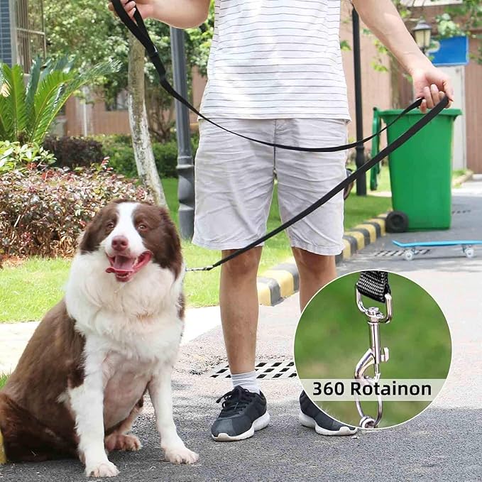AMAGOOD 6 FT Puppy/Dog Leash, Strong and Durable Traditional Style Leash with Easy to Use Collar Hook, Great for Small, Medium and Large Dogs (3/4 in x 6 ft, Black and Green (2-Pack))