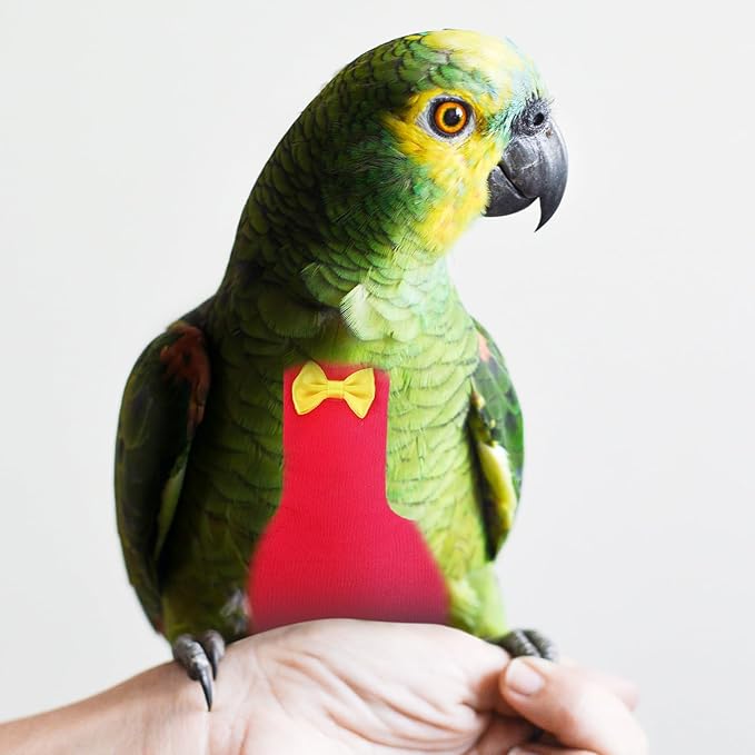 Cabilock Bird Diaper Flight Suit Reusable Protective Parrot Nappy with Washable Liner Large Rose Red for Outdoor African Grey and Small Birds