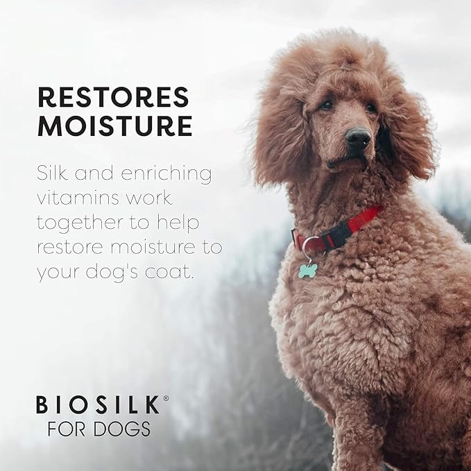 BioSilk for Dogs Silk Therapy Dog Shampoo Spray with Organic Coconut Oil - Waterless Dog Dry Shampoo Spray from BioSilk Silk Therapy, 7 Fl Oz - 2 Pack