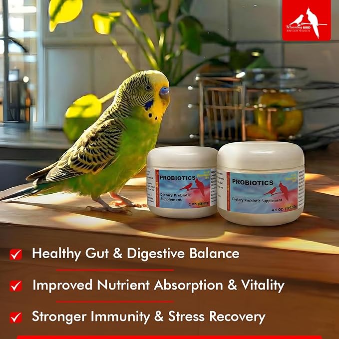Morning Bird Probiotics for Birds 4.5 oz – Digestive Health Supplement Supporting Gut Balance, Nutrient Absorption, & Immune Support – Easy Mix Powder Supplement for All Bird Species