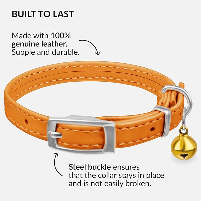 CollarDirect Leather Cat Collar with Removable Bell – Safety Elastic Strap (Breakaway Alternative) – Kitten Collar for Small & Big Boy & Girl Cats