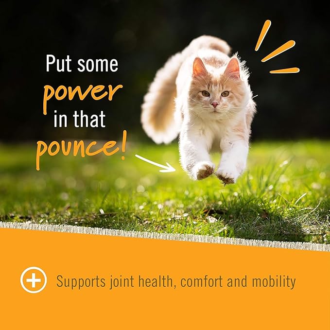 Pet Naturals Hip and Joint Supplement with Glucosamine, Green-Lipped Mussel, and Chondroitin for Cats, Duck Flavor, 160 Chews