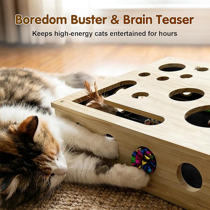 2026 New Cat Scratch Puzzle Enrichment Box, Cats Nail File Enrichment Box with Sandpaper Inside, Stress-Free Alternative to Trimming Nails, Cat Toys Interactive for Indoor Cats Nail Scratcher