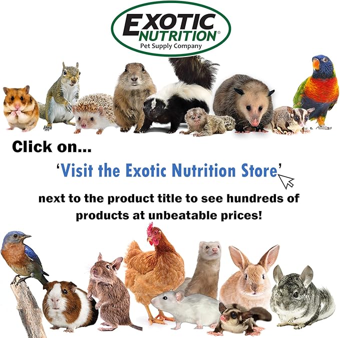 Fruit Medley Treat - Healthy Natural Dried Fruit Treat - Sugar Gliders, Squirrels, Chinchillas, Prairie Dogs, Opossums, Marmosets, Monkeys, Parrots, Birds, Rabbits, Guinea Pigs & Small Pets (3 lb.)
