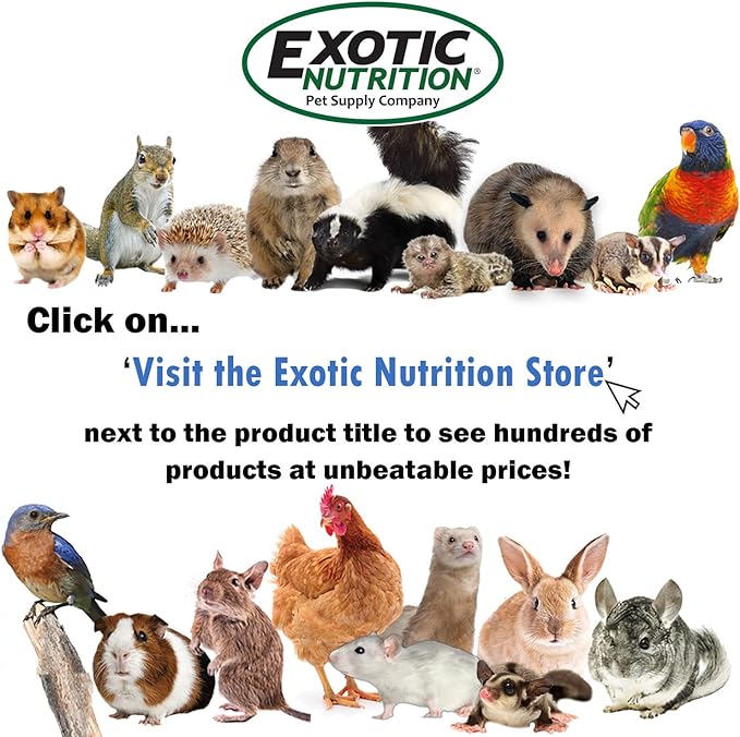 Exotic Nutrition Mealworm & Sunflower Pie - Healthy Natural Suet Basket Feeder Treat - for Backyard Chickens and Wild Birds