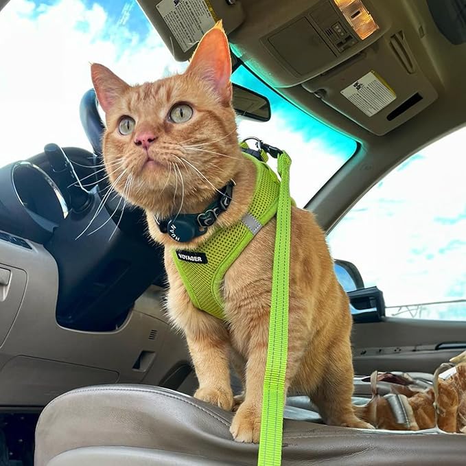 Best Pet Supplies Voyager Step-in Air Harness - All Weather Mesh, Reflective, No Pull Harness for Dogs, Cats - Secure with Hook & Loop Fastener, Buckle, Double D-Rings - Lime Green, L