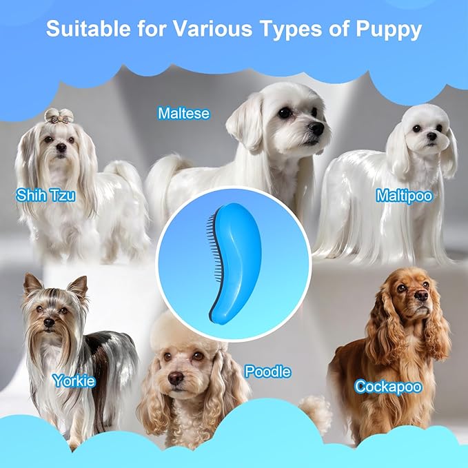 Small Dog Brush- Grooming Tool for Teddy, Yorkies, Maltese, Shih Tzu, Chihuahua - Puppy Hair Brush (Blue)