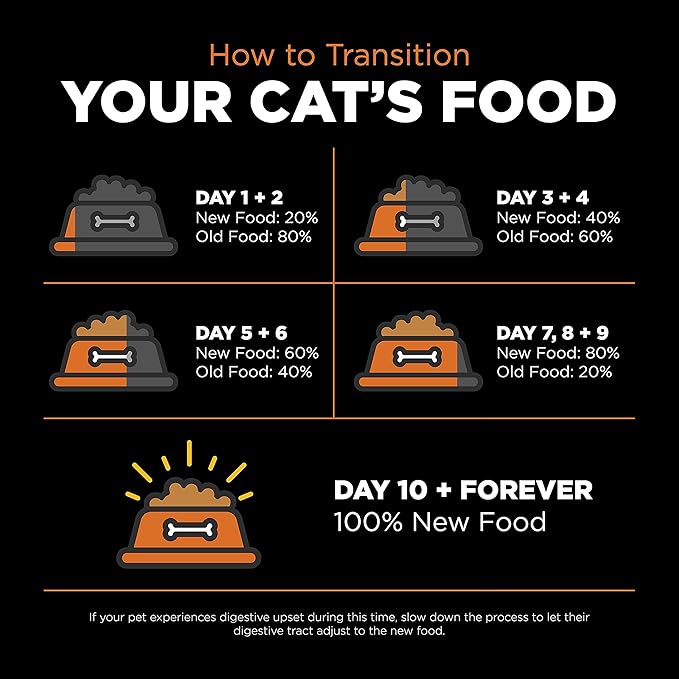 Go! Solutions Skin + Coat Care Salmon Grain-Free Dry Cat Food, Chicken-Free, Healthy Kibble with Omega-3s & 6s for Soft, Shiny Fur, for Kittens, Adults, & Seniors, 8 lb Bag