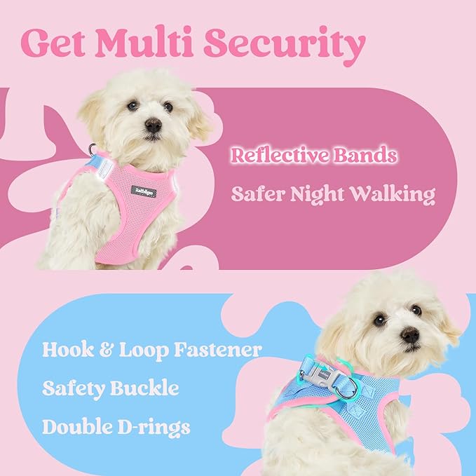 rabbitgoo Small Dog Harness, Step-in Soft Mesh Puppy Vest with Safety Buckle, Breathable Reflective Pet Harness for Small Medium Dogs, Blue & Light Pink L