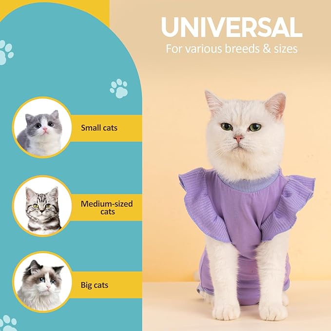 Avont Cat Recovery Suit - Post-Surgery Onesie for Cats, Alternative to Cone of Shame, Protective Spay Suit for Female Kitten, Ideal for Healing and Skin Conditions -Purple(M+)