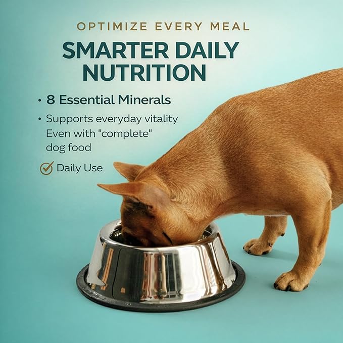 Silver - Vitamins, Minerals, Nutrients - Support for Senior Dog - Supplement for Healthy Bone, Joint, Energy, Immune System - 100 Chewable Tablets