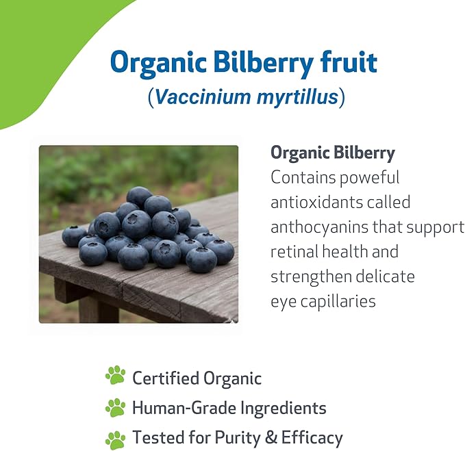 Pet Wellbeing Bilberry for Dogs - Eye & Vision Support with Antioxidants, Capillary Health, Retinal Support - NASC Certified & Vet-Formulated - 2 oz Liquid