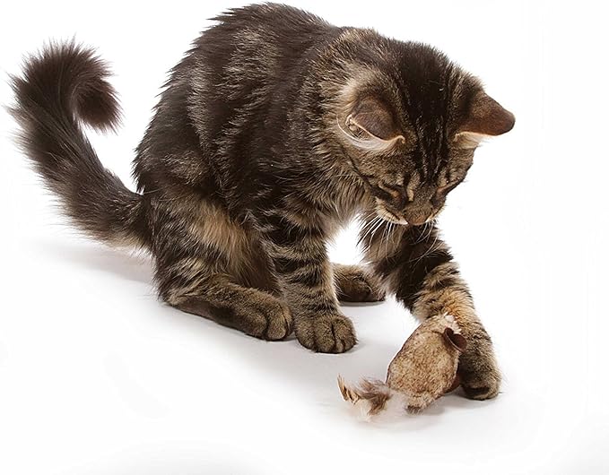 OurPet's Play-N-Squeak Twice the Mice Cat Toy, 2pc (Interactive Catnip Toy, Real Mouse Electronic Sound)