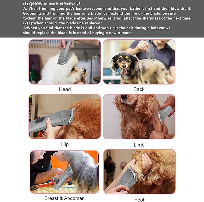 10 Blade Dog Grooming Clipper Blades Compatible with Andis Dog Clippers,Detachable Stainless Steel Blade,Size 10, 1/16-Inch Cut Length