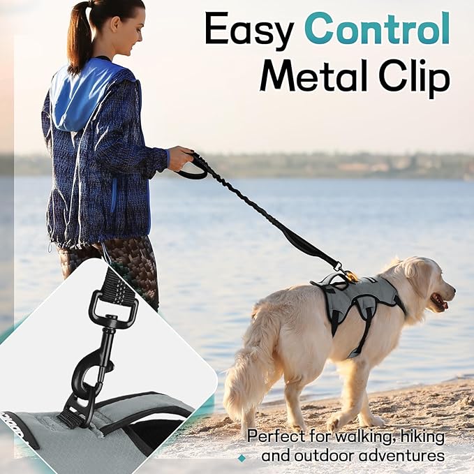 rabbitgoo Escape Proof Dog Harness, Soft Padded Full Body Pet Harness, Reflective Adjustable No Pull Vest with Lift Handle and Leash Clip for Large Dogs Walking Hiking Training, M, Grey