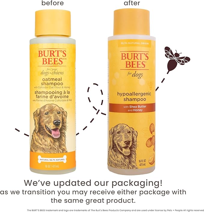 BURT'S BEES FOR PETS Hypoallergenic Dog Shampoo with Shea Butter and Honey, Gentle Fragrance Free Shampoo for Sensitive Dogs with 95% Natural Origin Skin and Coat Formula, 16 Fl Oz - 6 Pack