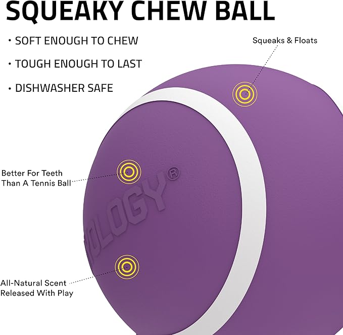 Playology Dog Toys | Squeaky Chew Ball - Bouncy Durable Floating Fetch Ball for Dogs | Jumbo Bacon Scented Toy - Easy to Clean and Made from Non Toxic Materials
