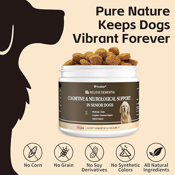 Lion's Mane Mushrooms for Dogs - Dementia Support – Supports Healthy Brains and Nervous Systems - Same, Turkey Tail, Lion's Mane, Reishi, Cordyceps, Supplement for Senior Dogs – 120 Tablets