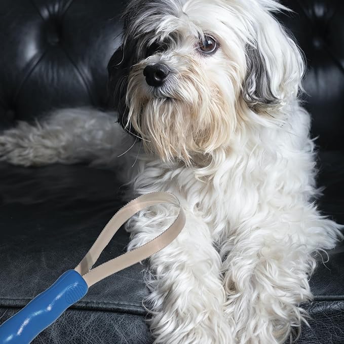 Dog Brush Shedding Blade Dual-Sided Stainless Steel Deshedding Tool Dog Grooming Supplies, 1Pack