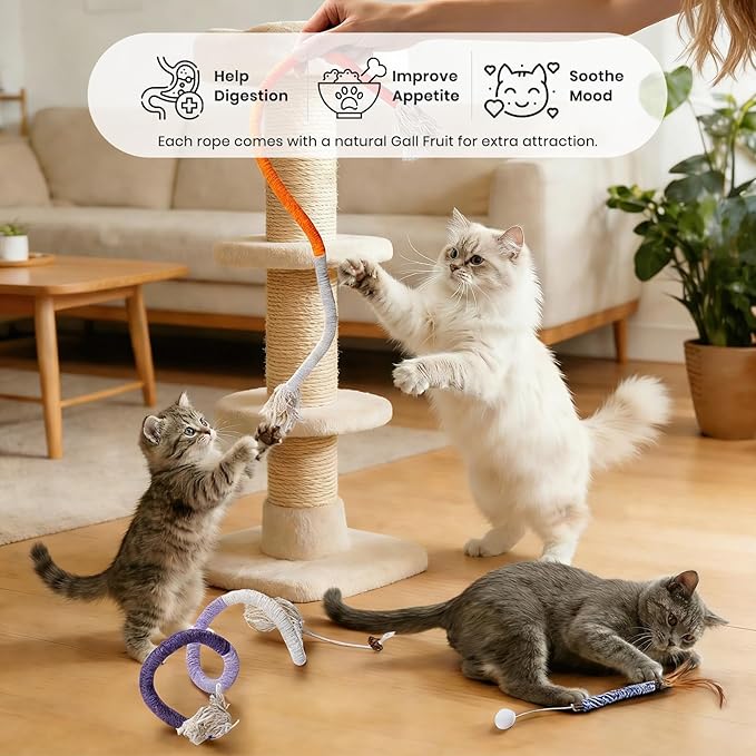 Silvervine Sticks for Cats and Cat Chew Rope Toy for Dental Care Teeth Cleaning,Interactive Cat Catnip Toys for Indoor Cats（9pcs）