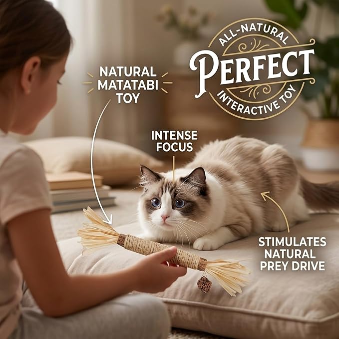Cat Toys 3Pack Silvervine Chew Stick Kitten Treat Catnip Toy Kitty Natural Stuff Catnip for Cleaning Teeth Indoor Dental Snack Interactive