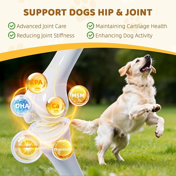 Dog Multivitamin Chewable: 12-in-1 Dog Vitamins & Supplements with Glucosmine Chondroitin Probiotics Omega 3 Cod Liver Oil CoQ10 Astaxanthin for Joint Gut Heart Eye Brain Immune Support