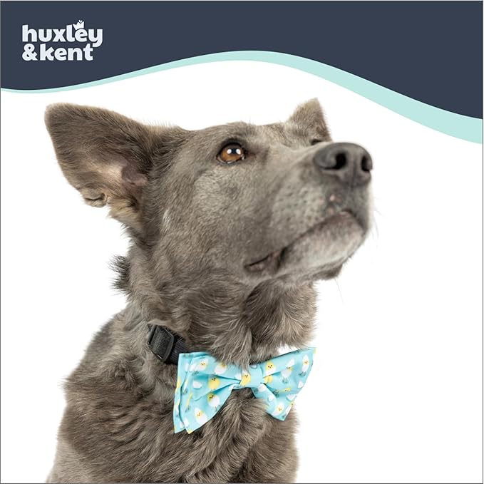 Huxley & Kent Pet Bow Tie for Dogs & Cats - Spring Easter Adjustable Hook & Loop Collar Accessory - Cute & Comfortable for Holidays & Celebrations - Chicks & Eggs, Large