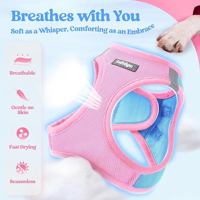 rabbitgoo Dog Harness Small Medium Sized and Leash Set, Step in Soft Light Puppy Vest, Breathable Mesh Pet Harness, Reflective for Safe Easy Walking, Blue & Light Pink XL