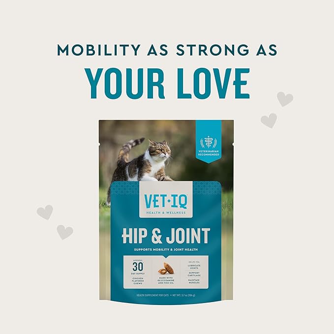VetIQ Cat Hip & Joint Supplement, Chicken Flavored Cat Supplement with Glucosamine and Green Lipped Mussel for Mobility and Arthritis Support, 3.7oz