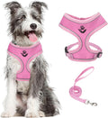 PUPTECK Soft Mesh Dog Harness and Leash Set Pet Puppy Cat Comfort Padded Vest No Pull Harnesses
